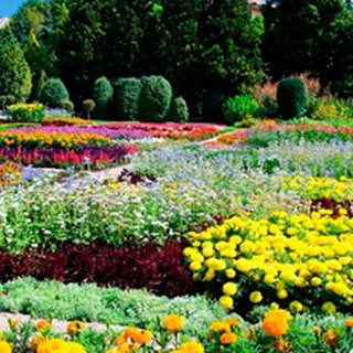 Parque botánico